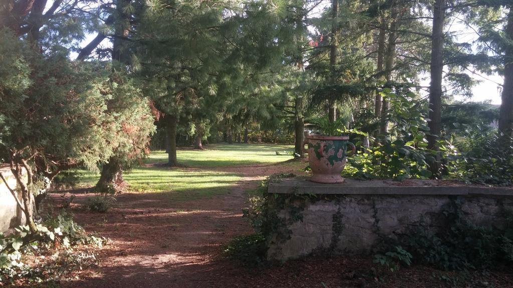 Relais De La Haute Pommeraye Apremont  Eksteriør bilde